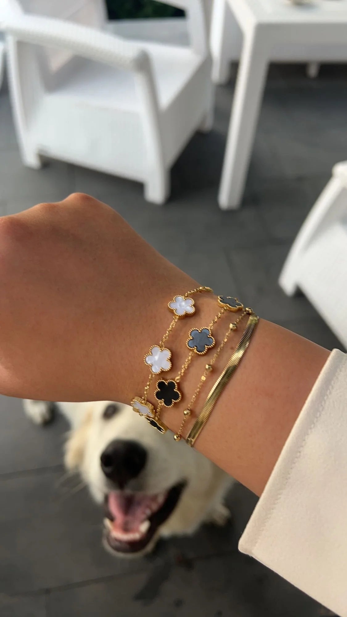 Clover Multi- Colored Bracelet